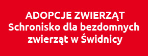 świdnicka karta dużej rodziny, logotyp